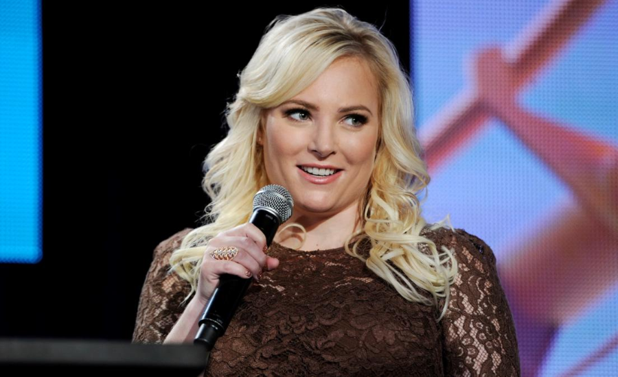 Meghan McCain Net Worth 2024: How She Built Her Wealth and Income